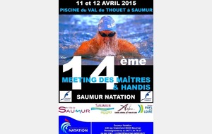 14ème meeting des maîtres et handis de Saumur