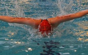 Bilan Natathlon 1 - Angers &amp; Avrillé