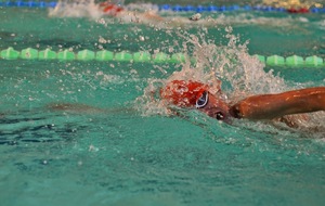 Bilan Natathlon Poussins (2ème étape)