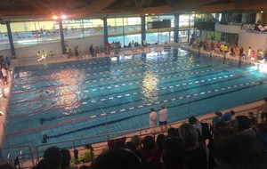 Bilan Natathlon Benjamins - Angers