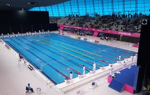 Bilan Championnats d'Europe des Maîtres - Londres