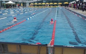 Bilan Avenirs/Poussins Meeting d'Angers