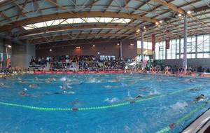 Bilan Juniors/Seniors - Meeting de Cholet 