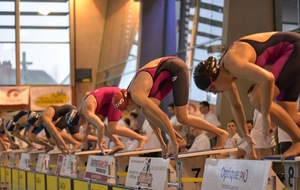 Photos des Championnats Régionaux - Cholet