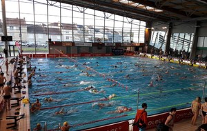 Bilan Championnats de France par équipe des Maîtres - Cholet