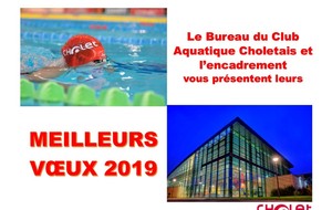 Meilleurs Vœux 2019