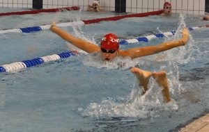 528af50dc9900_DSC06047.JPG