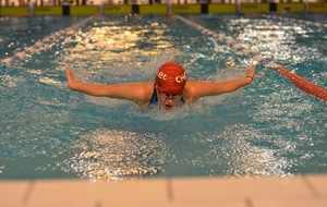 52a61cca75663_DSC5288.JPG