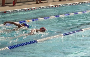 53a0449c1ad8d_DSC06819.JPG