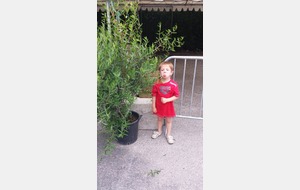 53bb930ea8afe_20140703185506.jpg