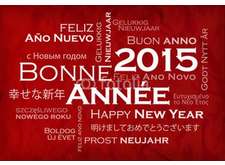 Meilleurs Vœux 2015