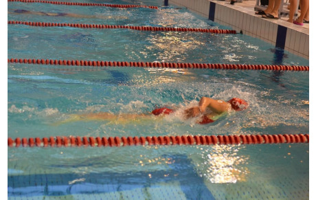 Bilan Meeting Régional Open 50m - Angers