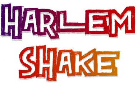 Le Harlem shake de nos jeunes en stage à Chateaubriant !!!