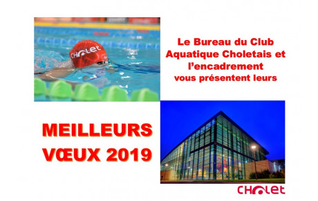 Meilleurs Vœux 2019